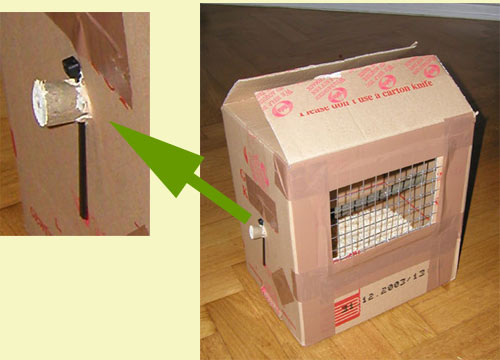 Nymphensittich - Transportbox Nymphensittich - Transportbox