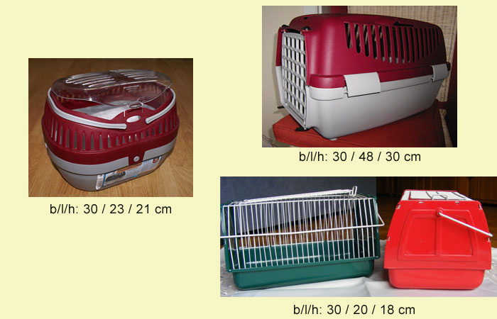 Nymphensittich - Transportbox Nymphensittich - Transportbox