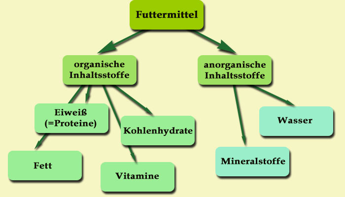Unterteilung der Inhaltsstoffe des Futter