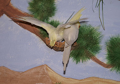 Korkbrettchen an der bemalten Wand