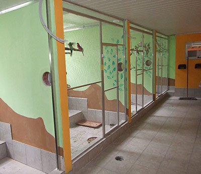 Blick in die Innenraumvolieren