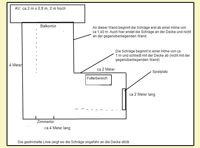 Nymphensittich Innenvoliere Nymphensittich Innenvoliere