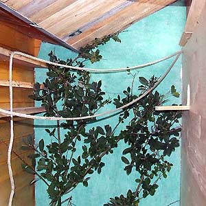 Blick in den Schutzraum.