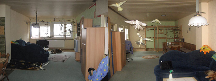 Das untere Vogelzimmer in Gesamtansicht