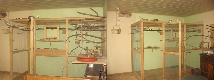 Die Voliere im Vogelzimmer