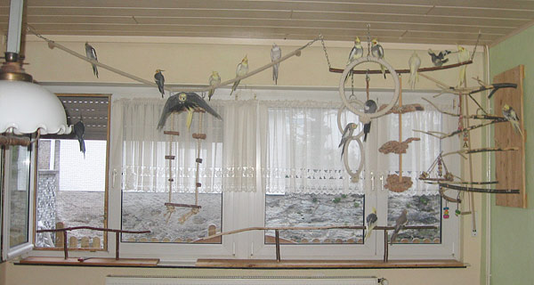 Spielplatz am Fenster. Das linke Fenster ist vergittert.