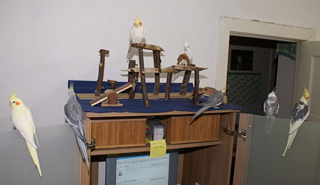 verschliebarer Computerschrank