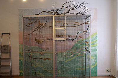 Voliere, Mae 190x80x200cm, dahinter eine bunte Wand