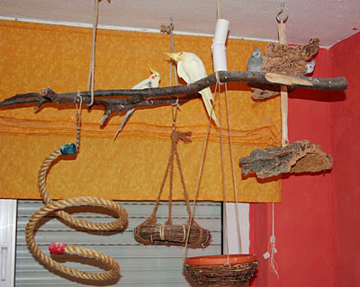 Hngespielplatz vorm Fenster