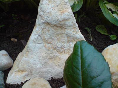 Amadeus Grab Amadeus Grab