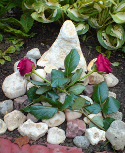 Amadeus Grab Amadeus Grab